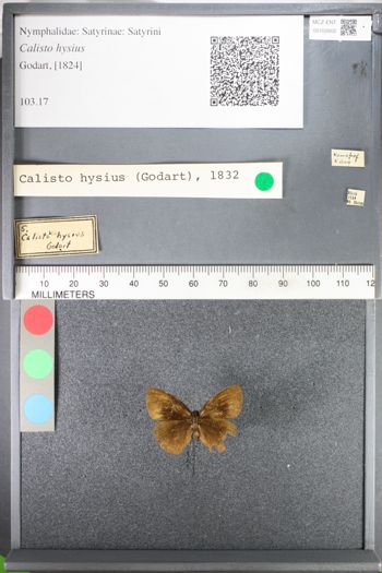 Media type: image;   Entomology 102602